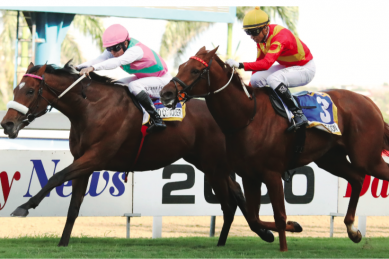 Snaith Runners Dominate The Betting In July Day Features photo