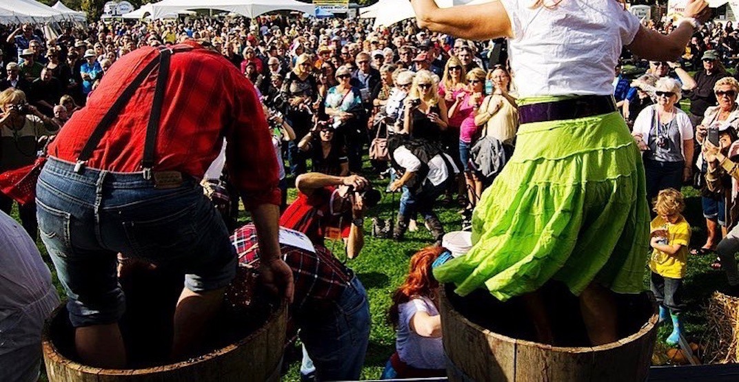All The Can’t-miss Food Events Happening In Bc This Fall photo