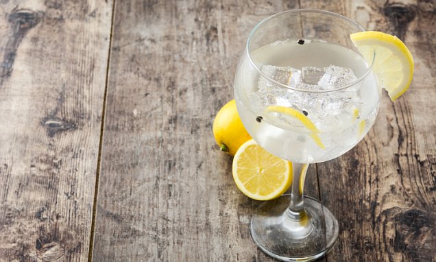Why You Should Let The Ice In Your Gin And Tonic Melt Before Drinking photo
