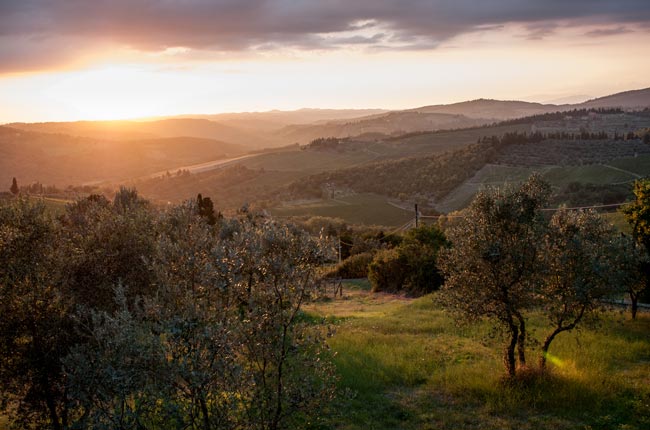 Ten Of The Best Italian Vineyards & Terroirs photo