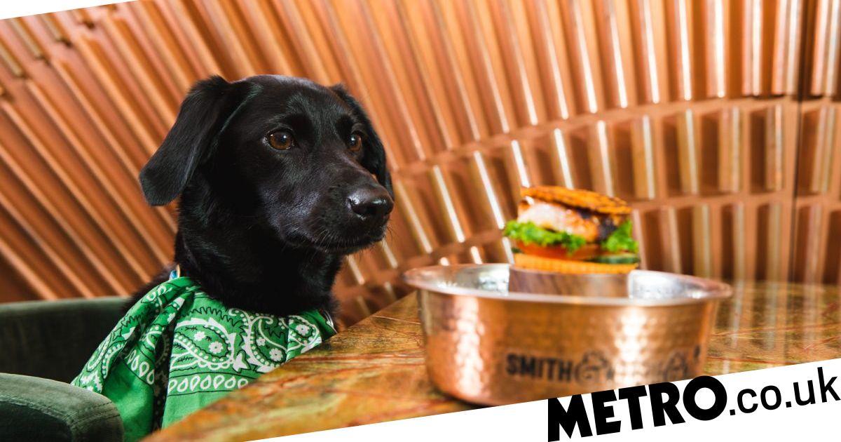 A London Restaurant Is Offering Free Dog Burgers For A Whole Week photo