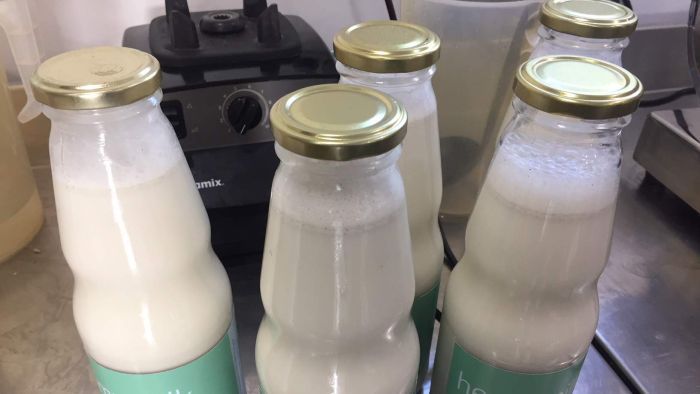 Fresh Hemp Milk photo