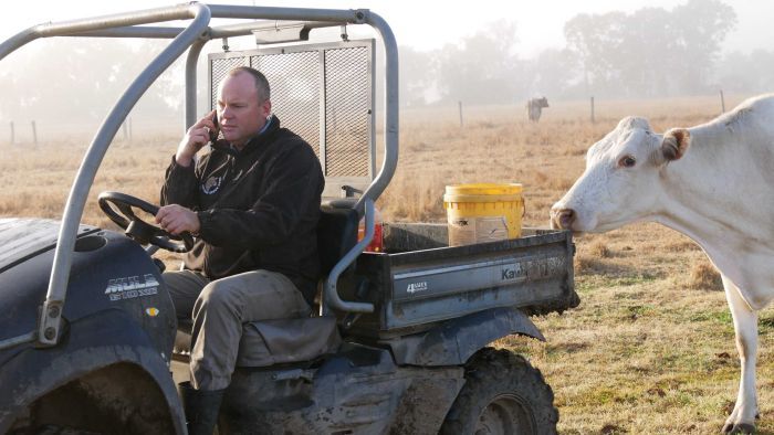 Bank Tightens Dairy Farmer’s Lending After Leap From Processor To Independent, Forcing Closure photo
