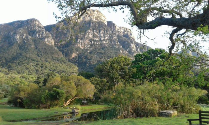 Must-visit Picnic Spots In The Cape photo