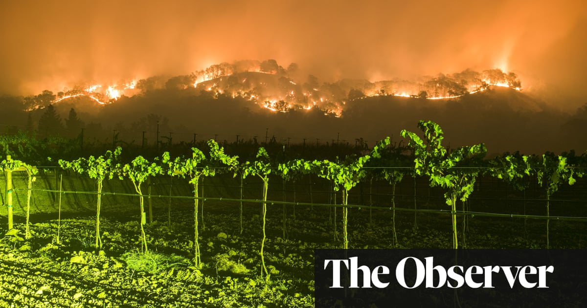 What Climate Change Means For The Wine Industry photo
