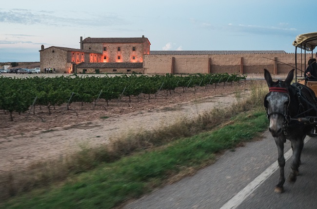 Torres Opens New Purgatori Winery photo