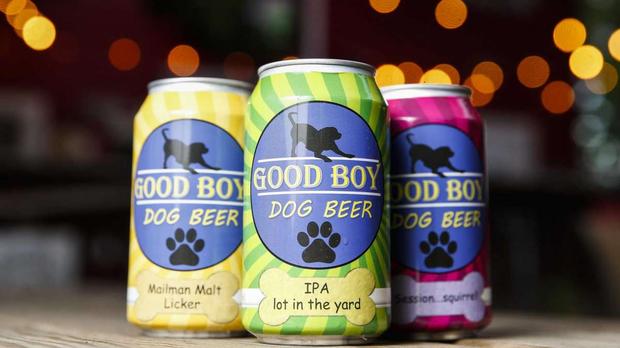 This Beer Is The Prefect Dog Treat photo