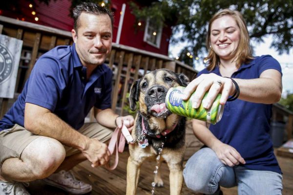 Houston Couple Launches Beer For Dogs photo