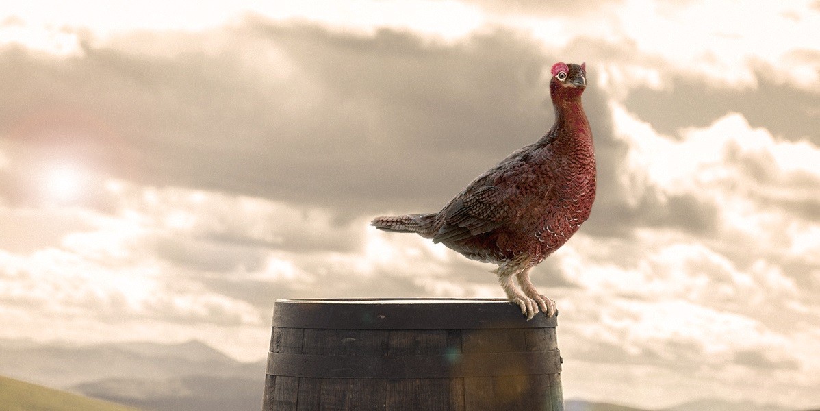 ‘well Deserved Grouse’ Film Series Launches On Facebook photo