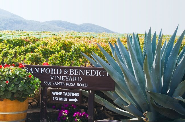 Top Wines Of Santa Barbara: New Reviews photo