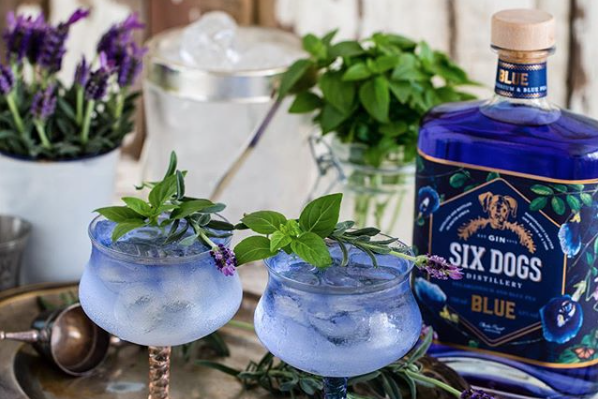 10 Local Gins To Collect photo