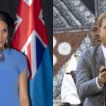 Meghan Markle Toasts with Water, While Prince Harry Samples ‘Narcotic’ Delicacy Kava photo