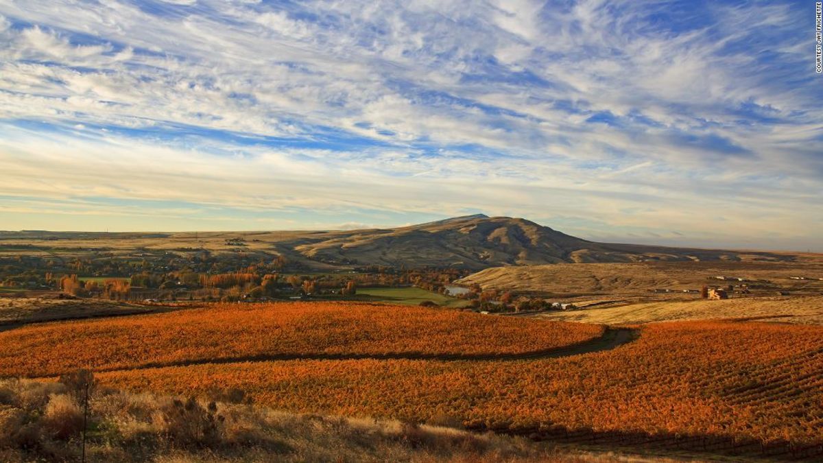 Tri-cities: The New West Coast Wine Country photo