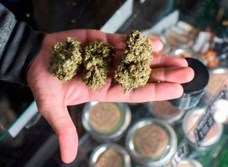 Share Watch: Roll Up, Roll Up For The Great Marijuana Share Price ‘hit’ photo