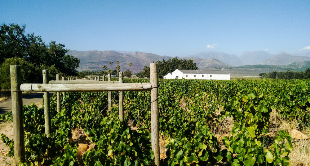 Working The Land: Land Question At The Heart Of Solms-delta As Liquidation Looms Again photo