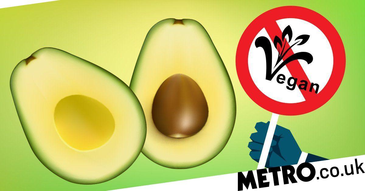 Why Is Avocado Not Vegan? photo