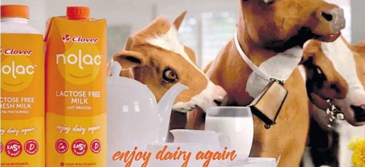 #orchidsandonions: Clover’s Ad Is Cheesy, But To The Point photo