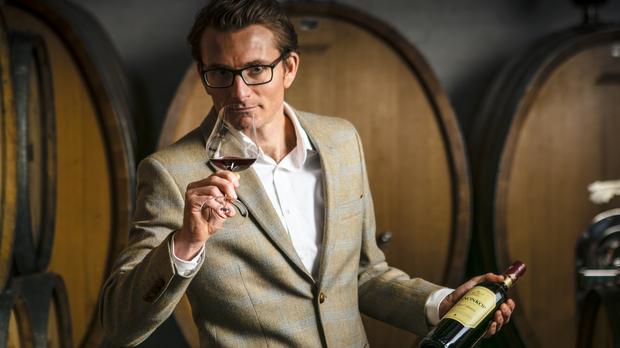 6 Sa Wines You Should Be Investing In Right Now photo
