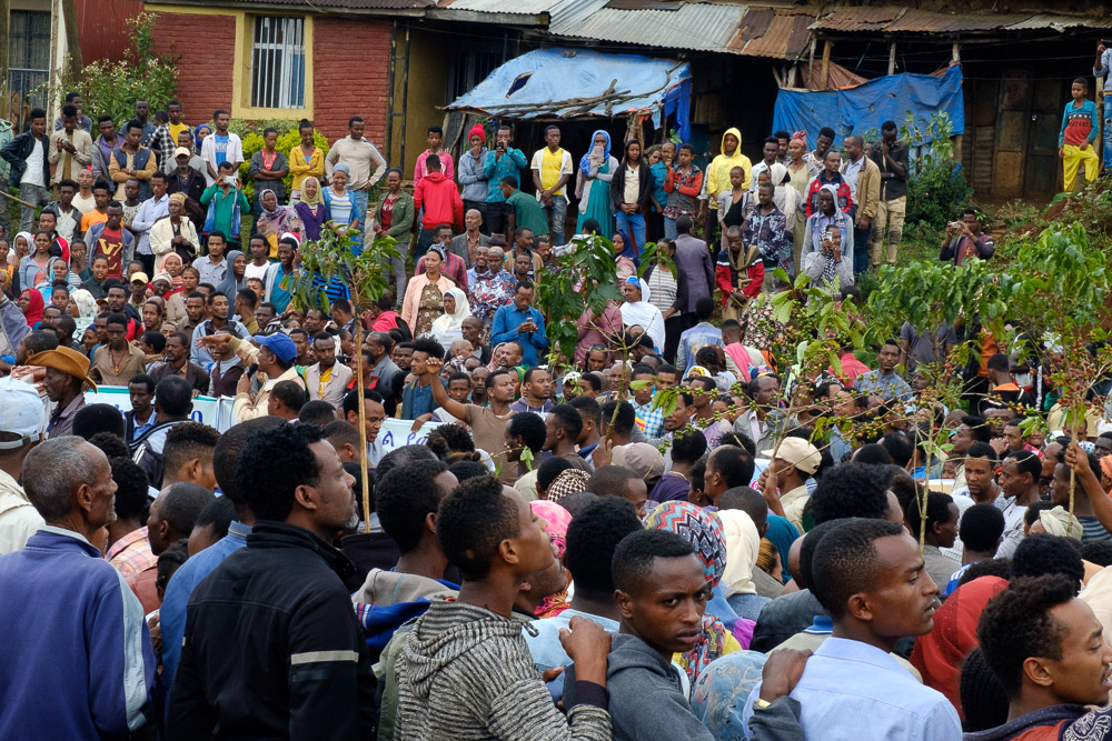 Thousands Protest In Kaffa, Ethiopia, As Coffee?s Origin Is Politicized photo