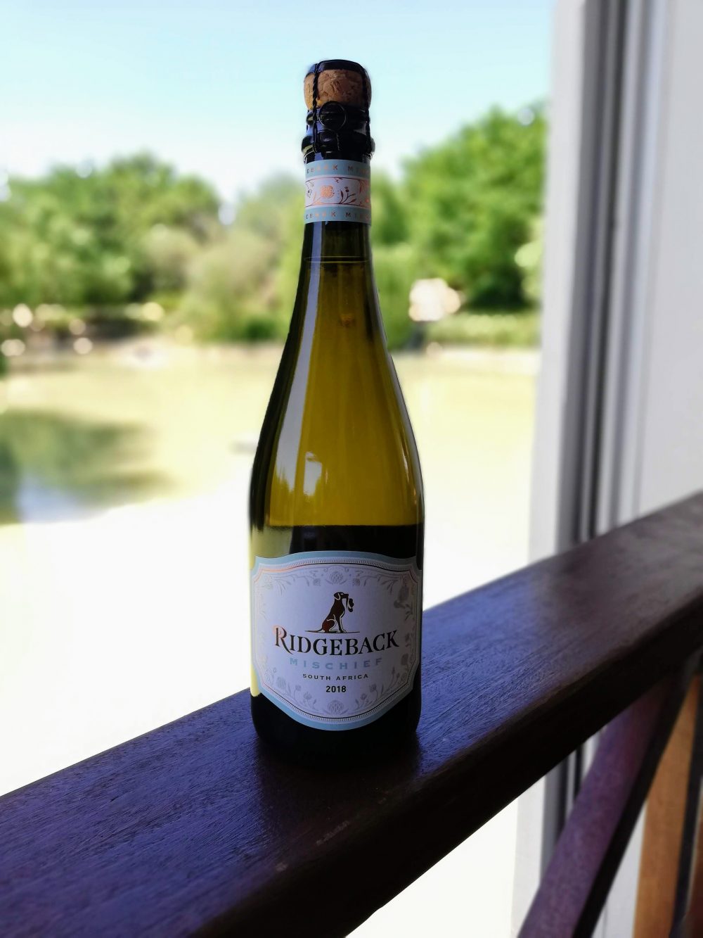 Put Extra Sparkle in Summer with a ‘Mischievous’ Bubbly from Ridgeback Wines photo