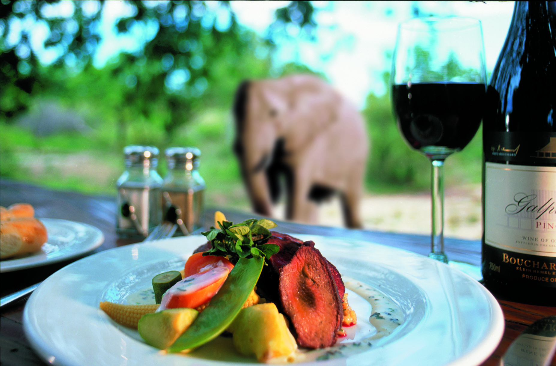 What you can expect to eat on an African Safari photo