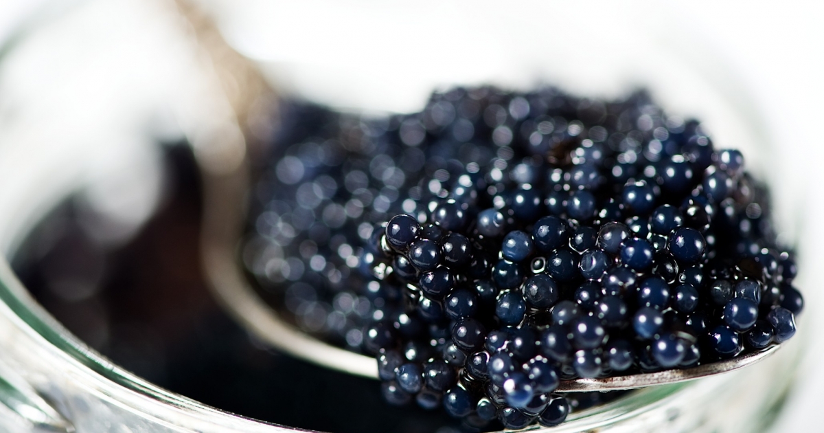How To Eat Caviar – Hint: You Get To Chug Vodka photo