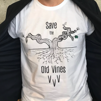?save The Old Vines? Pleads Spanish Master Of Wine photo