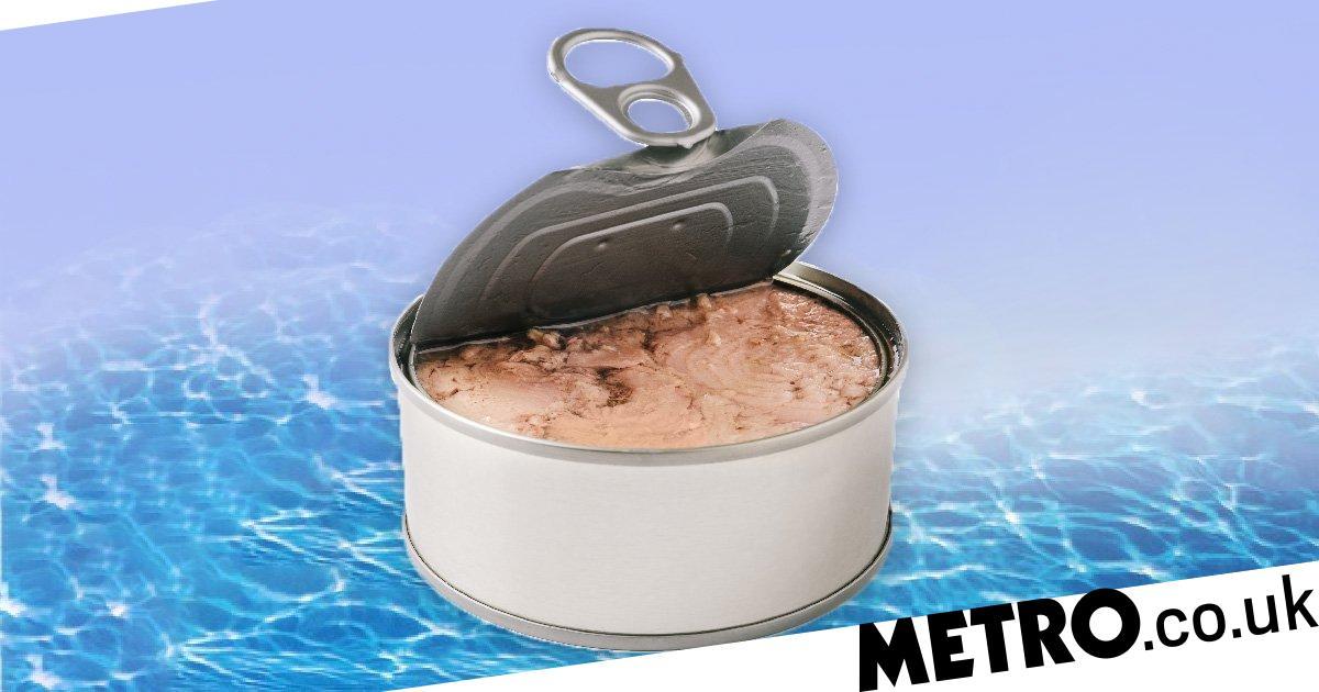 Millennials Are Killing Canned Tuna photo