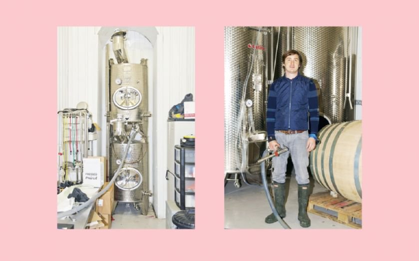 London Winemaking, From Bottling In Battersea To Viniculture In Tooting photo