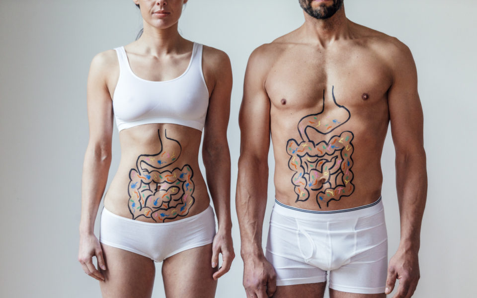 The Fibre Of Our Wellbeing: The Surprising Truth About Gut Health photo