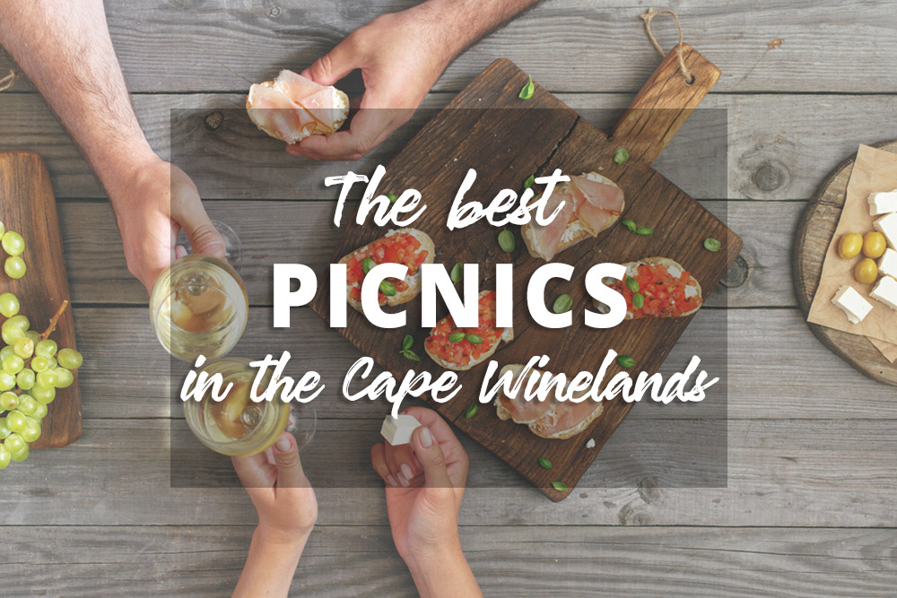 The Best Picnics In The Cape Winelands photo