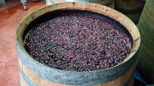 Wine Of The Week: Carignan Is A Heritage Grape That Might Withstand Global Warming photo