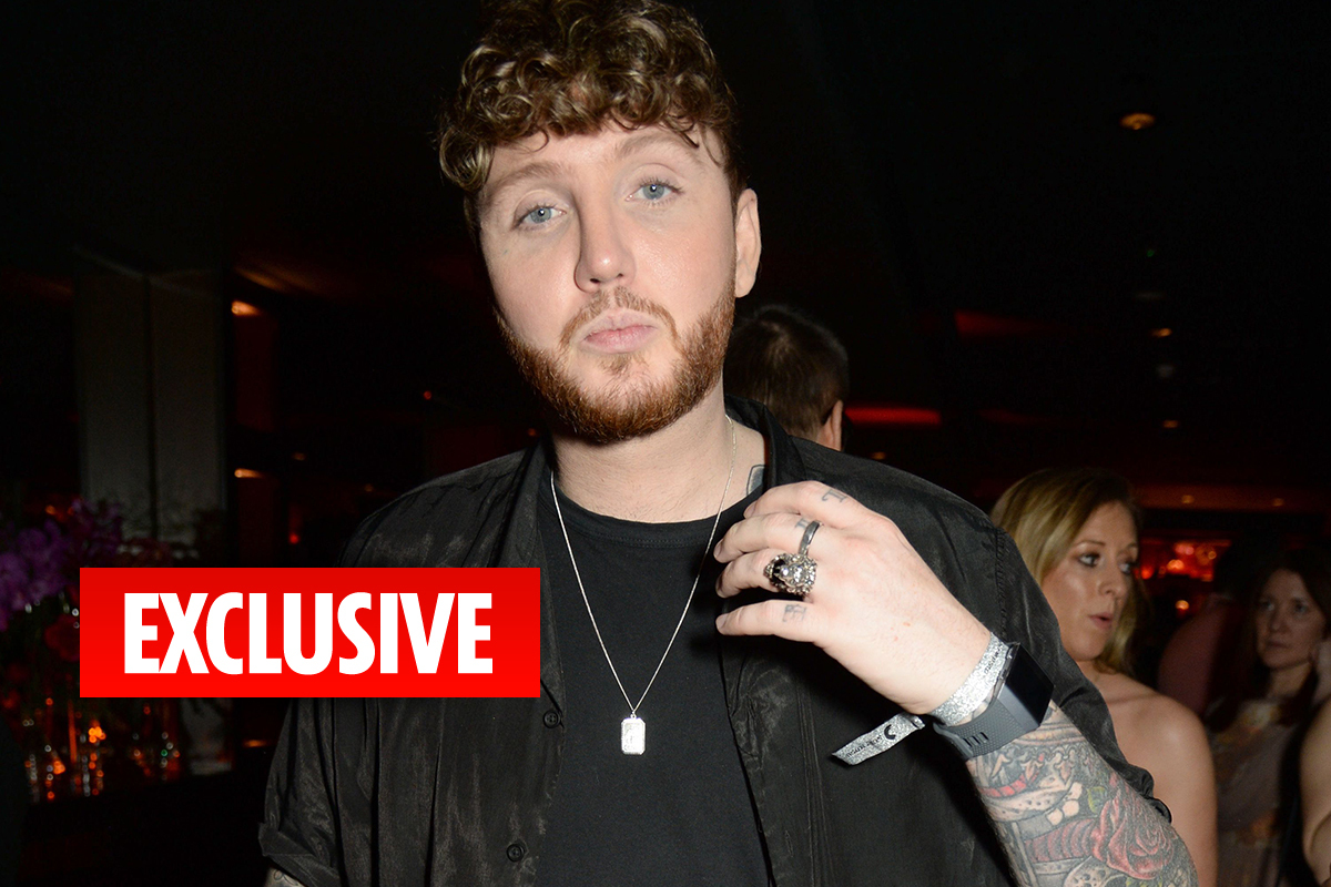 Little Mix’s Jesy Nelson And James Arthur ?all Over Each Other? At Brits After Party photo