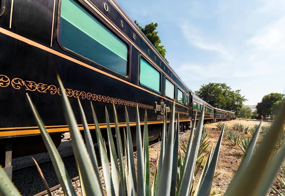 There’s An All-you-can-drink Jose Cuervo Tequila Train photo