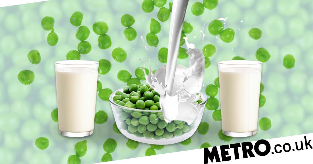 Pea Milk Is Apparently The Next Dairy-free Drink Trend photo