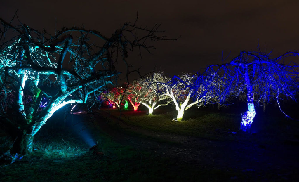 First Ever Light & Sound Show In Armagh Orchard photo