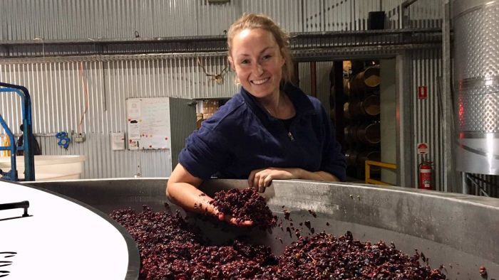 Women In Wine Industry Set To Break Down Male Dominance photo