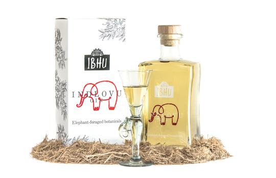 Would You Drink Gin Made From Elephant Dung? photo