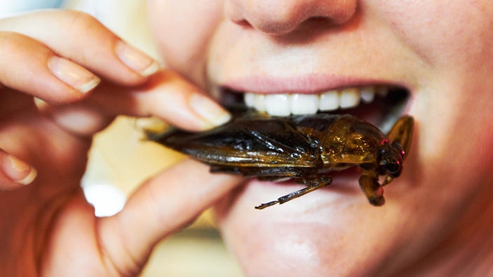 Sushi Is The Gateway Food To Eating Insects: Study photo