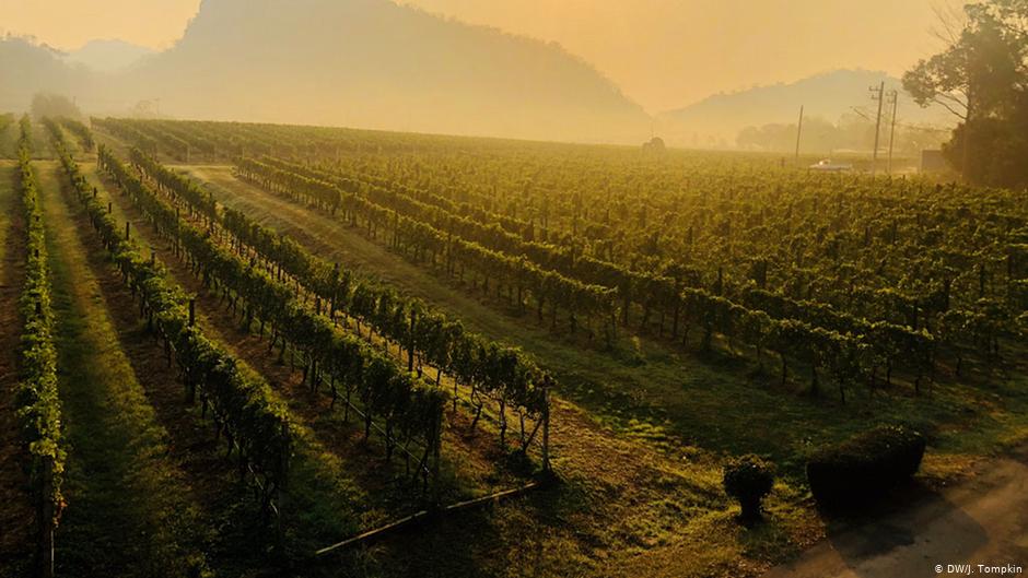 Thailand’s Unlikely Emergence As A Wine Destination photo