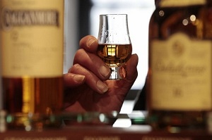 Malt Whisky Market Research Methodology- Prominent Players  Ancnoc Cutter, Lagavulin, Speyburn, Aultmore, Jura photo
