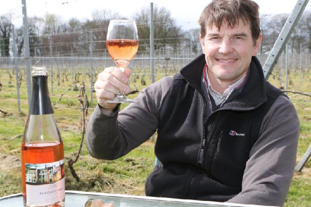 Historic Vineyard At Renishaw Hall Set To Open For Another Year Of Tours And Tastings photo