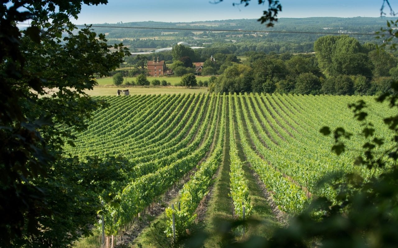 Pop The Cork! The Best Events And Tastings To Celebrate English Wine Week photo