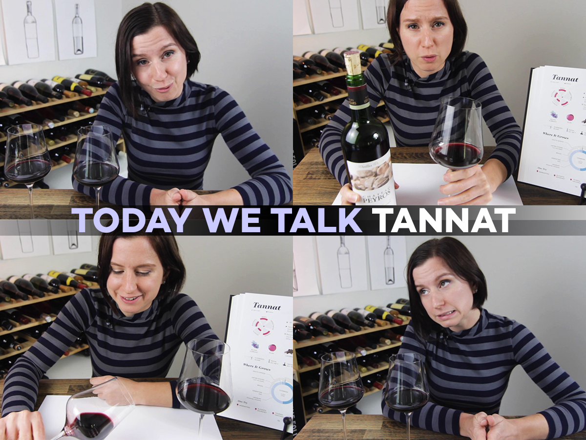 Today We Talk Tannat! (video) photo