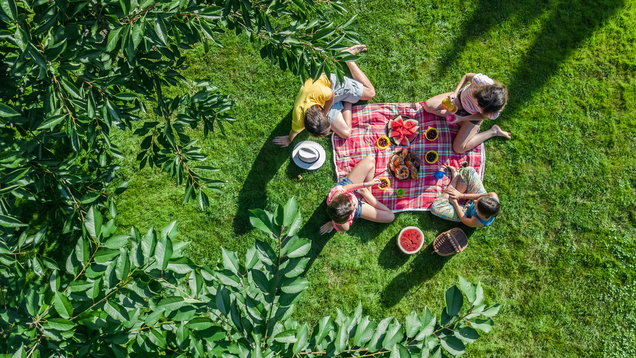 National Picnic Week: Where To Source The Best Picnic Items From Around The Uk And Ireland photo
