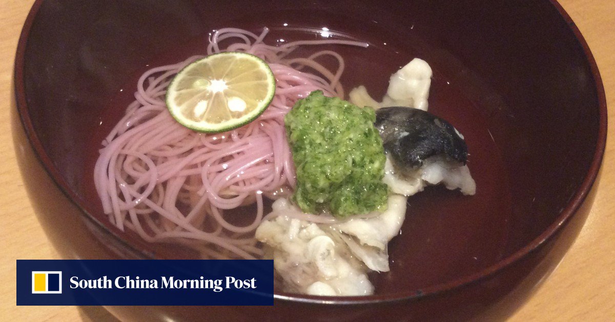 Shimonoseki Food Trip: Japanese City Famous For Fugu ? Pufferfish ? Is A Growing Pull For Foodies photo