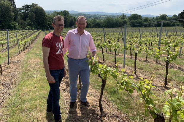 Vineyard Is Set To Get A Tasting Room, Petworth Mp Discovers photo