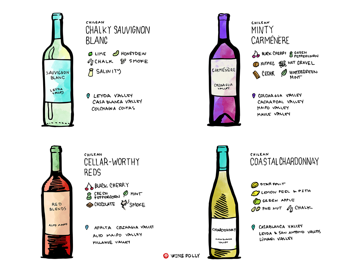 7 Wines From Chile That Will Blow Your Freakin’ Mind photo