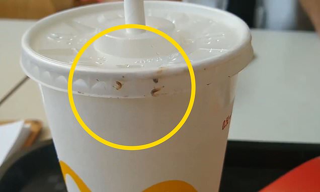 Horrified Mcdonald’s Customer Finds Drink Crawling With Maggots photo