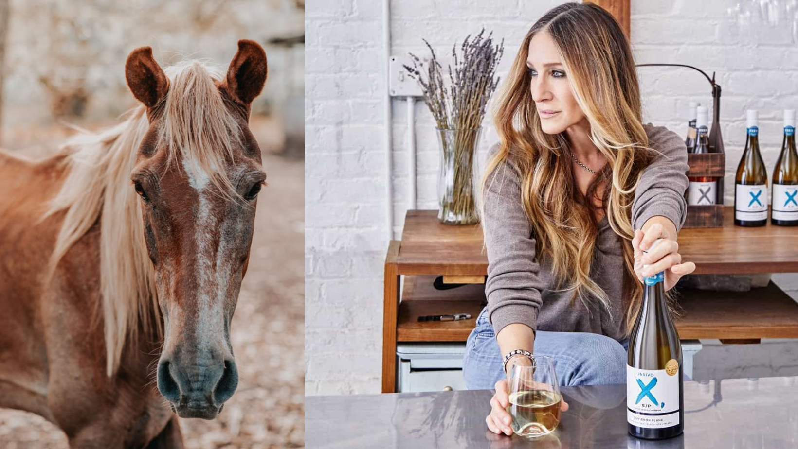 10 South African Wines For Humans Who Love Horses photo
